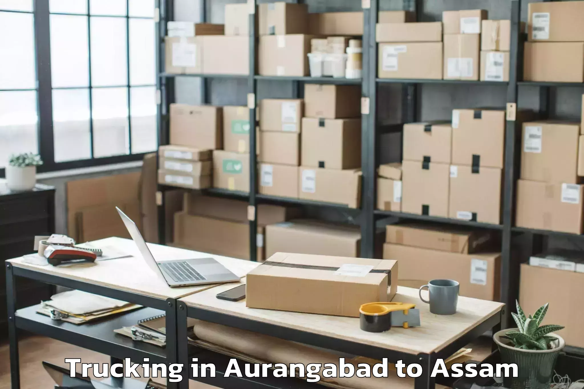 Book Aurangabad to Biswanath Charali Trucking Online